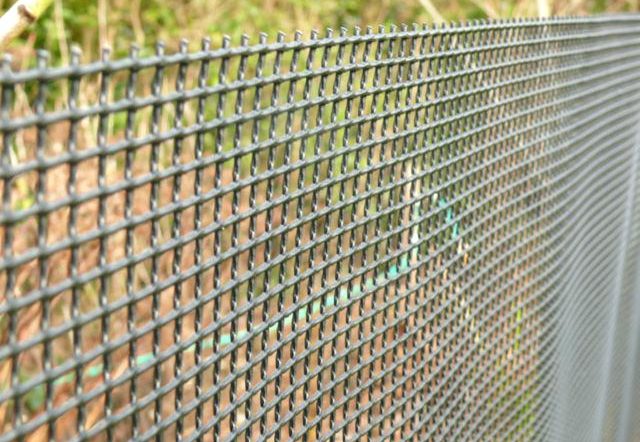 Finding Best Wireless Dog Fence