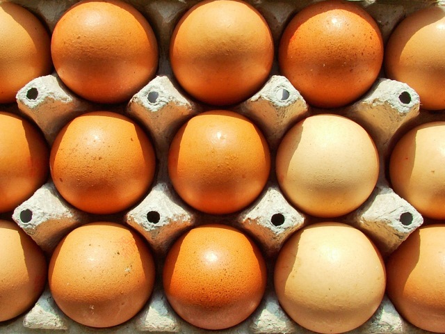 Organic Eggs